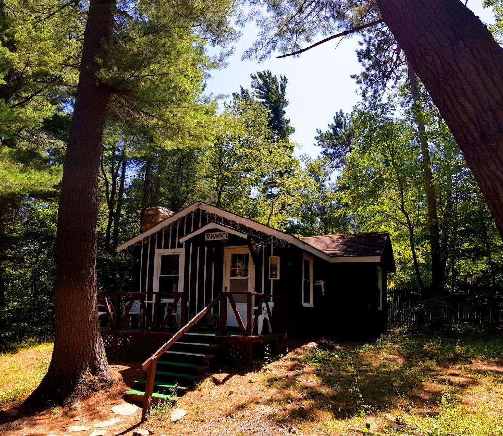 The Wilderness Inn: Chalets Wilmington Exterior foto