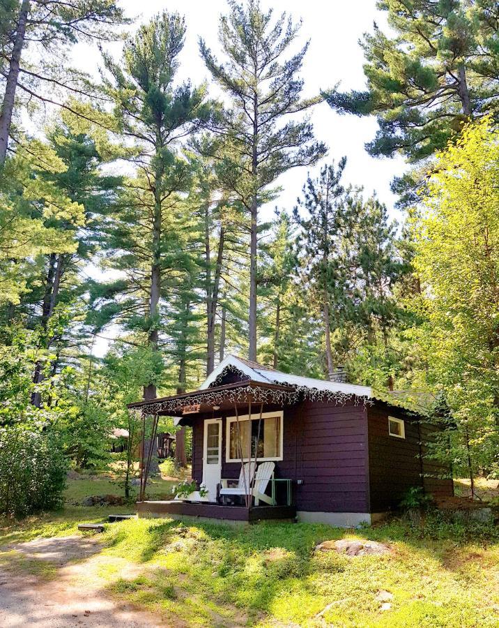 The Wilderness Inn: Chalets Wilmington Exterior foto